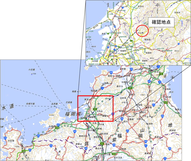 確認地点