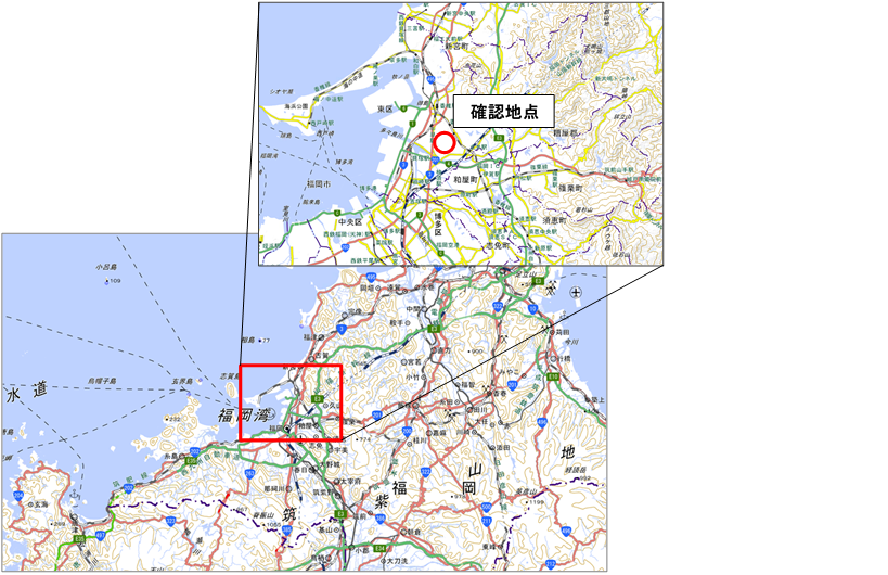 確認地点　福岡県福岡市東区