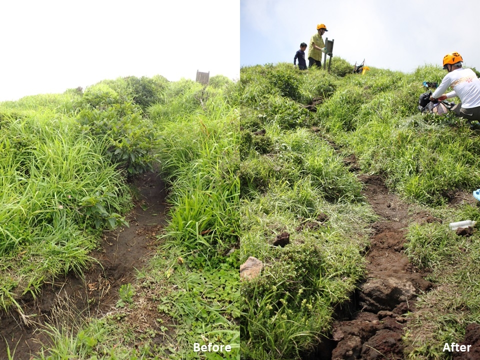 近自然工法ビフォーアフター