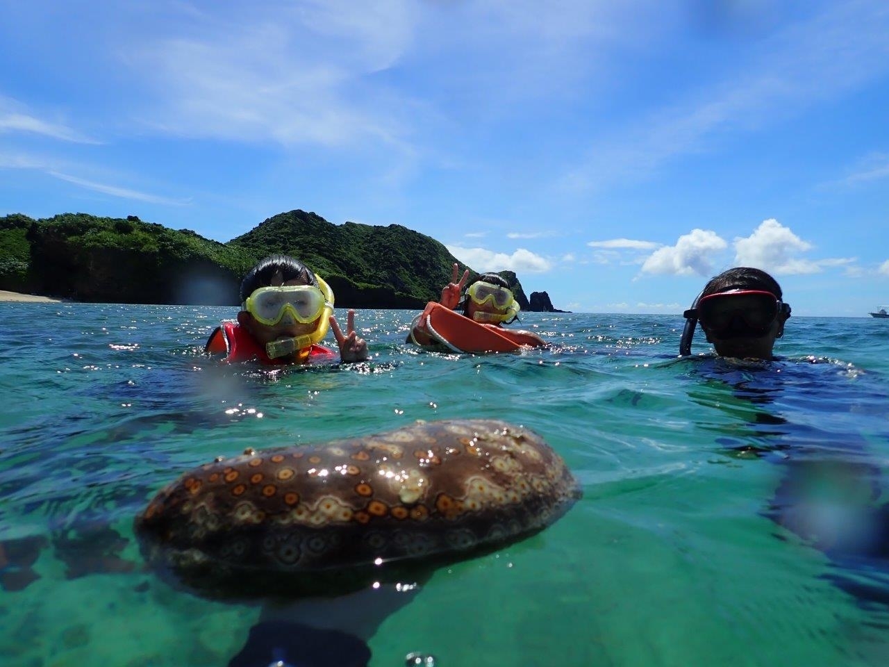 スノーケリングの写真
