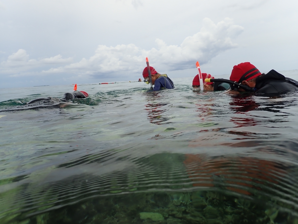 スノーケル練習