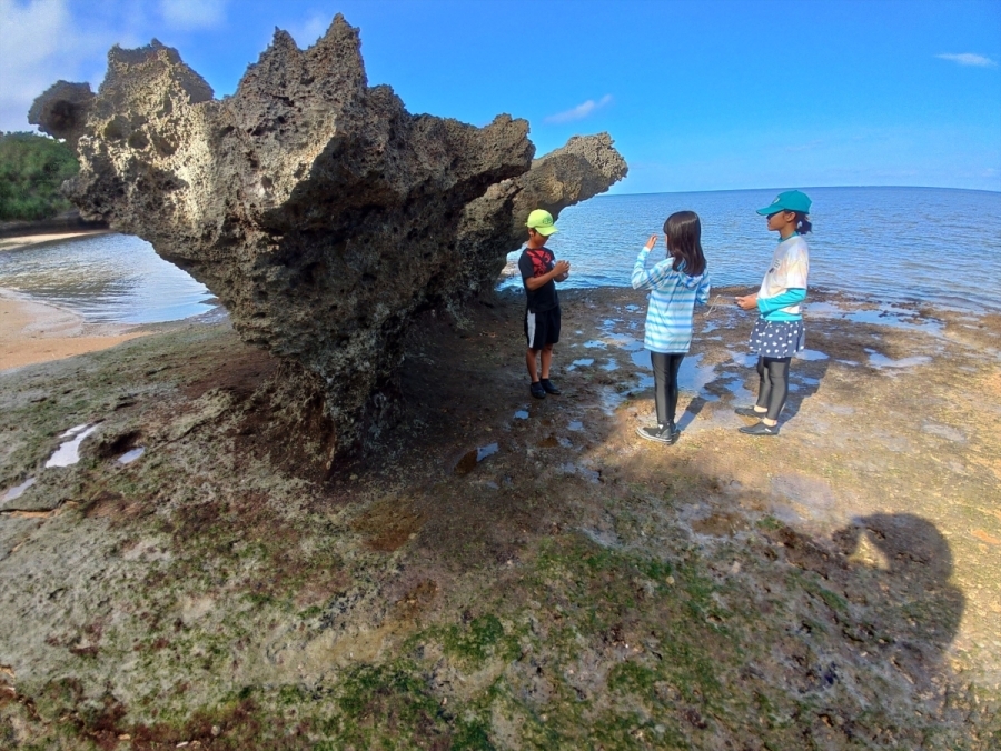 不思議な岩の形