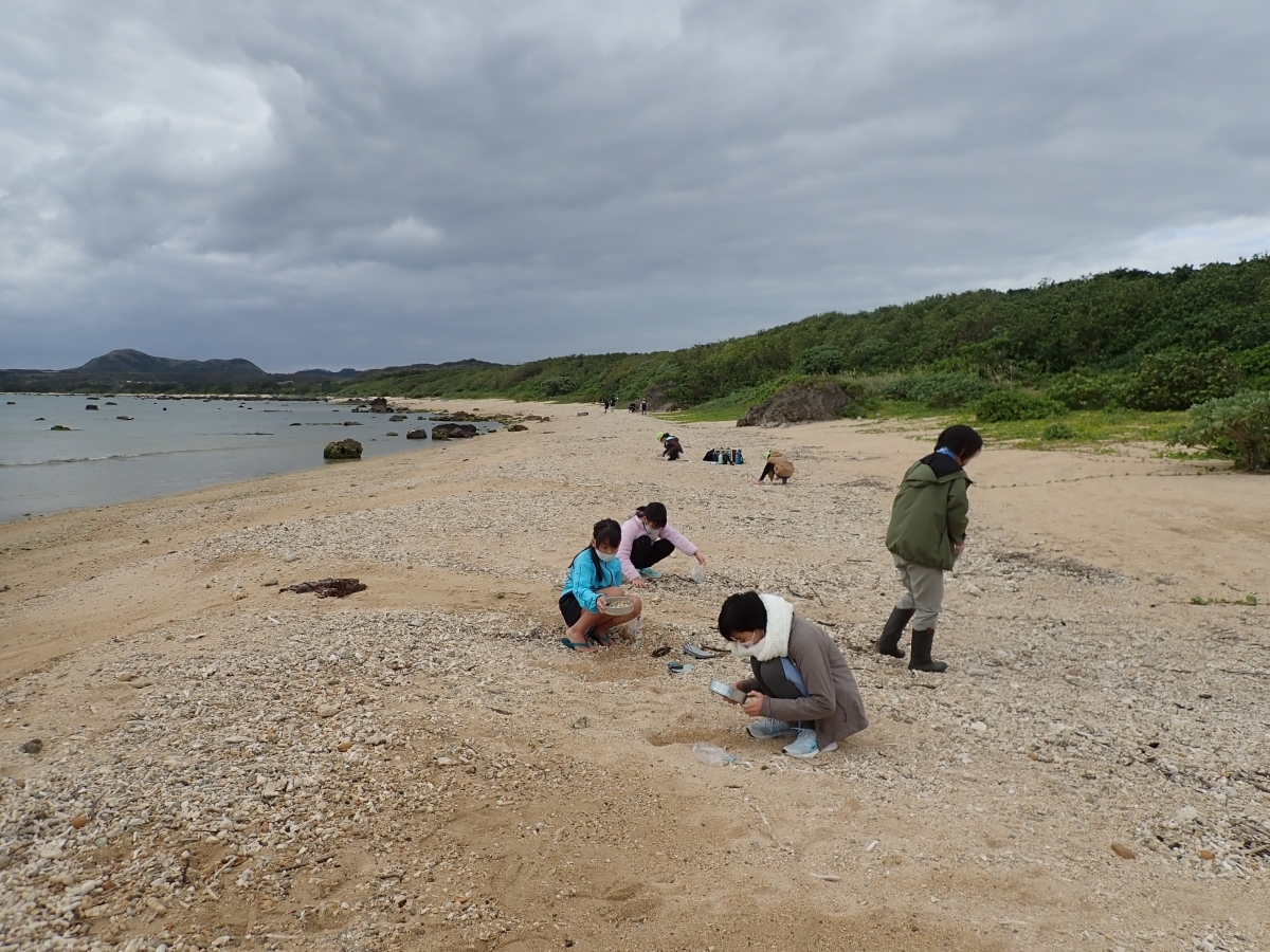 ビーチクリーン