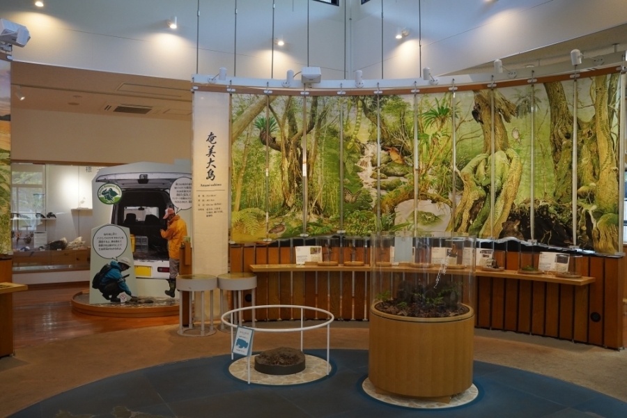 奄美野生生物保護センター