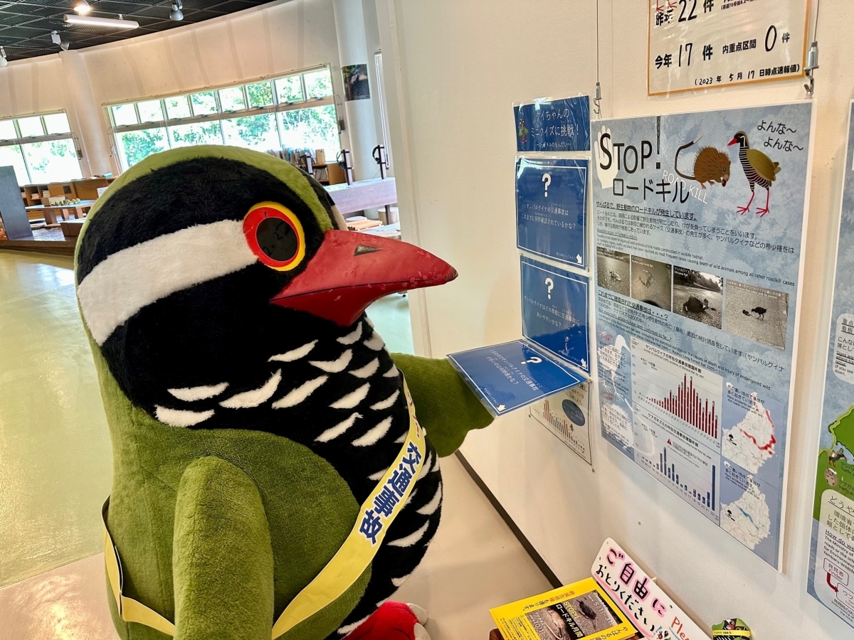 ロードキルクイズクイちゃん＃