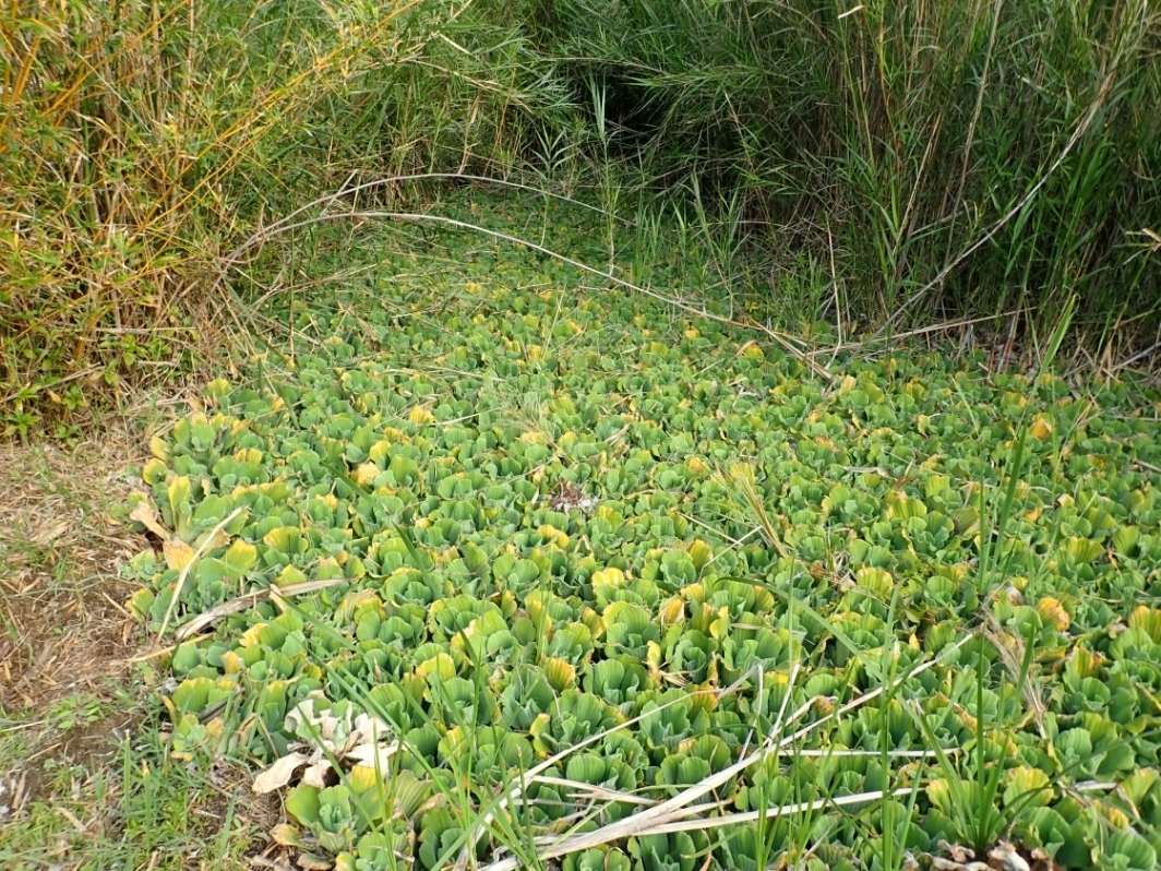 2021年2月初回作業前＃