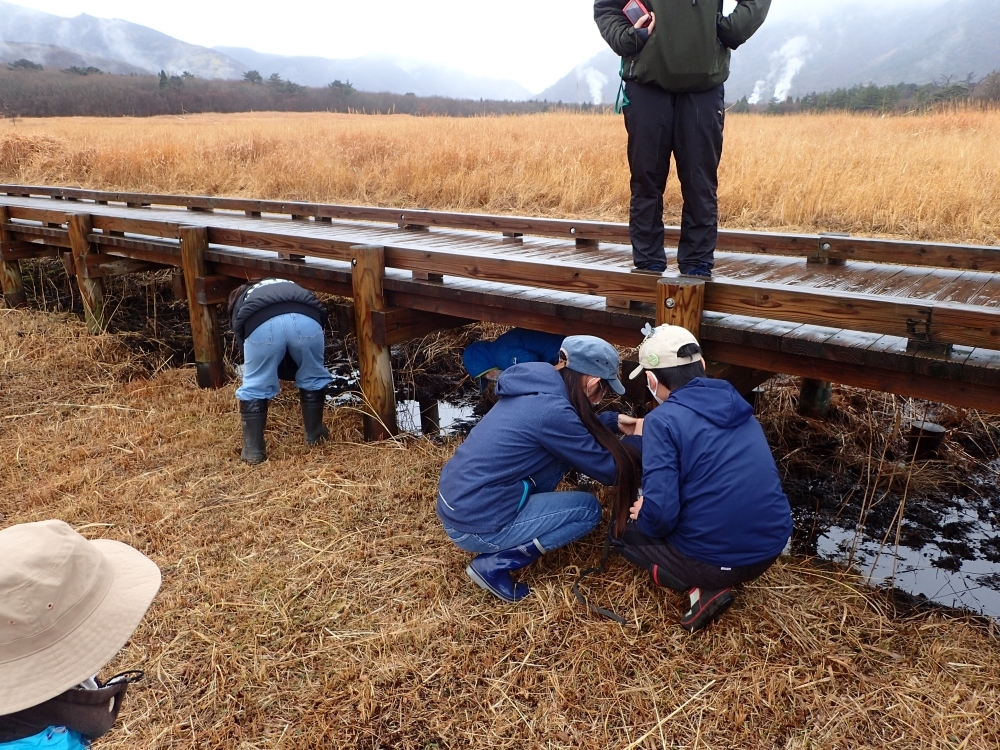 自動撮影カメラ