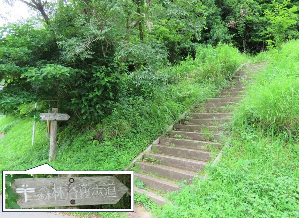 森林浴遊歩道入口