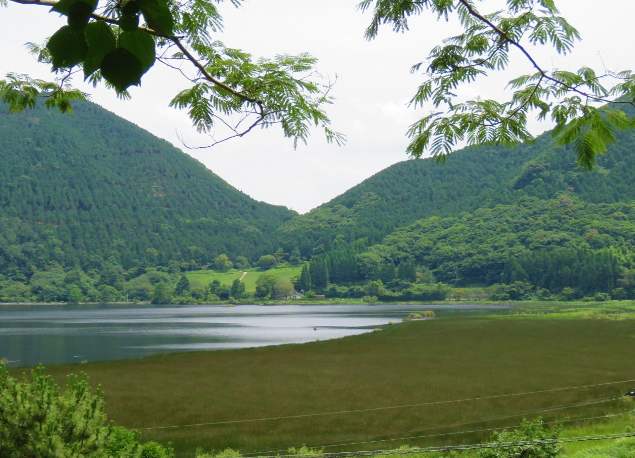 尾根へ向かう道