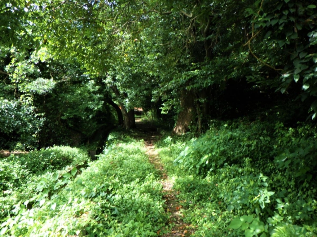 境橋過ぎの小径