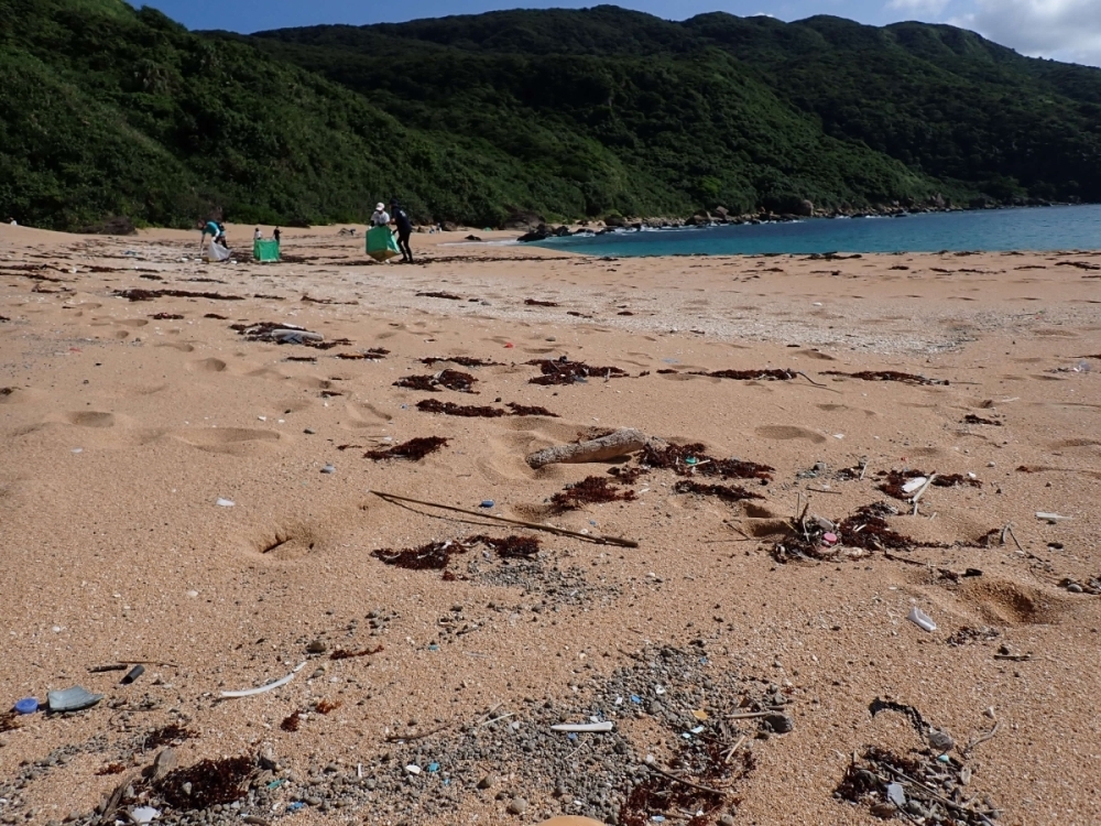 ビーチクリーン　