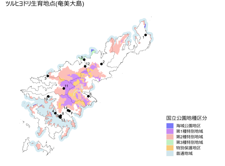 奄美大島ツルヒヨドリ生育地点＃