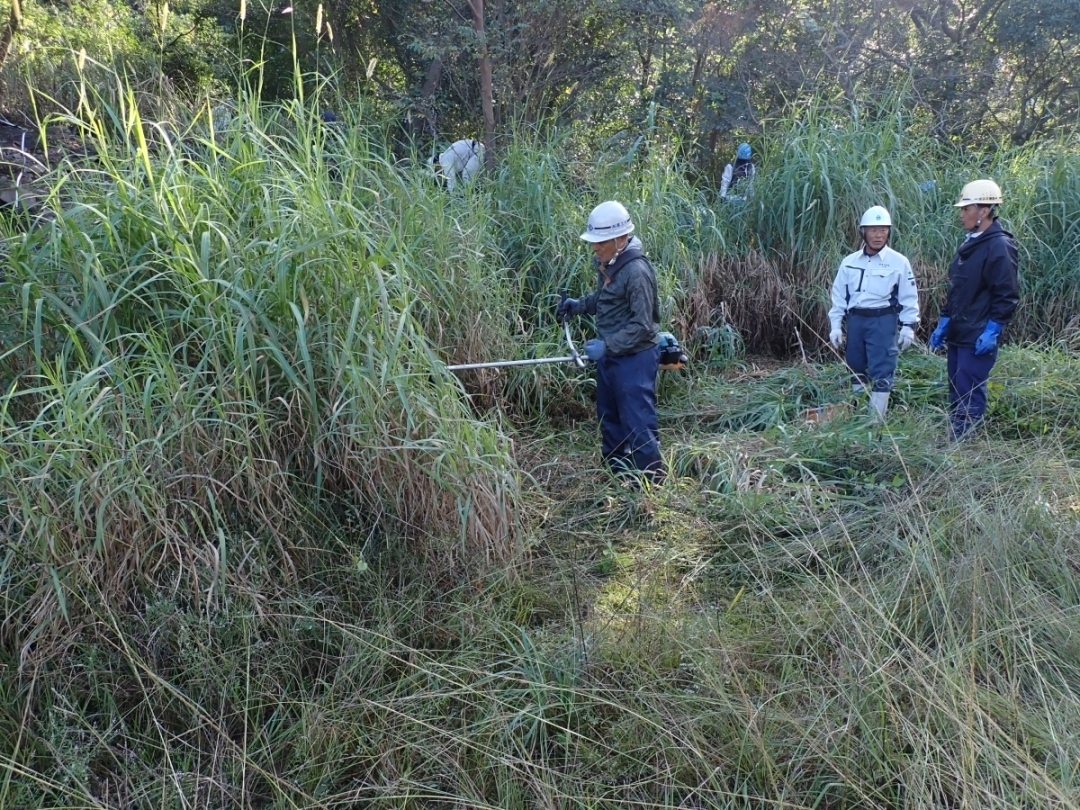 モニタリングしやすいように周囲の草刈りを行う＃