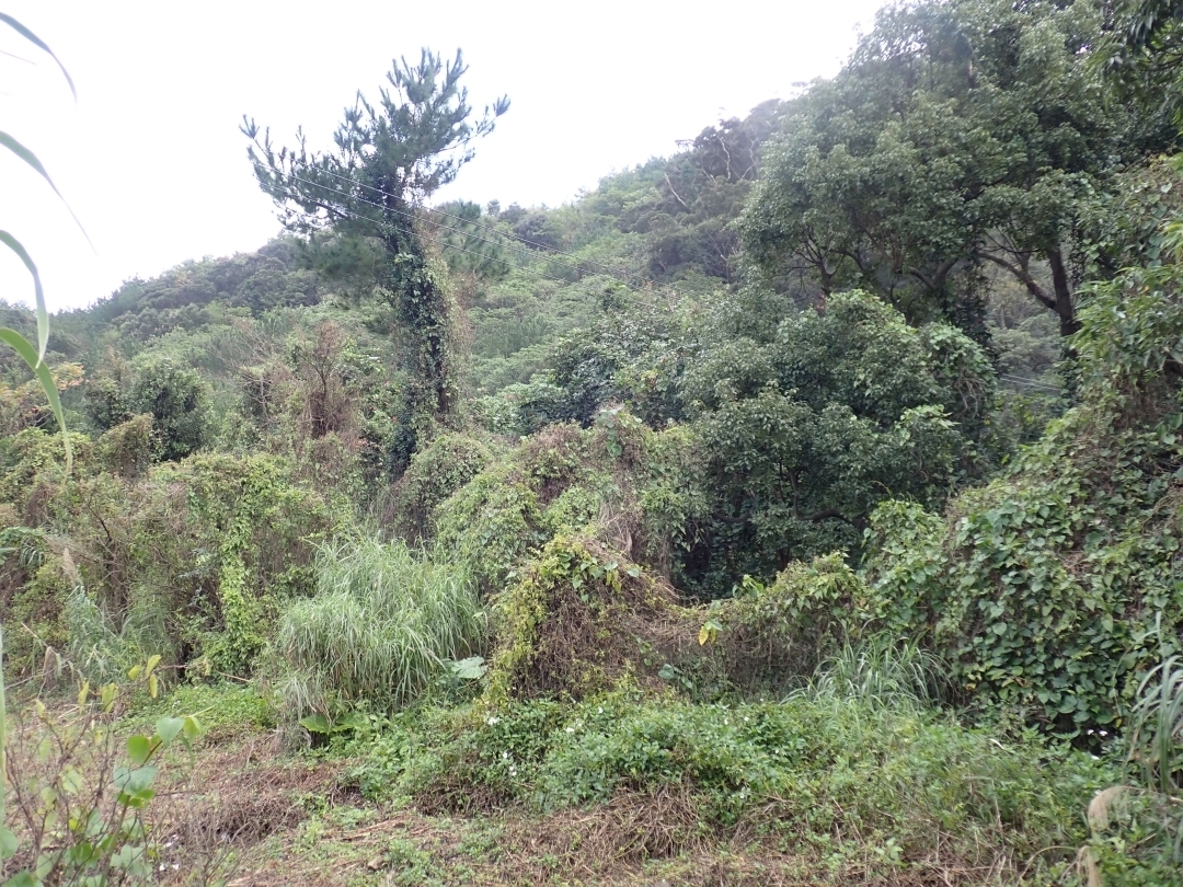 初回作業以前＃