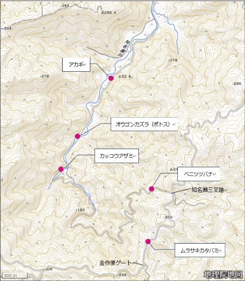 図２：外来種確認位置