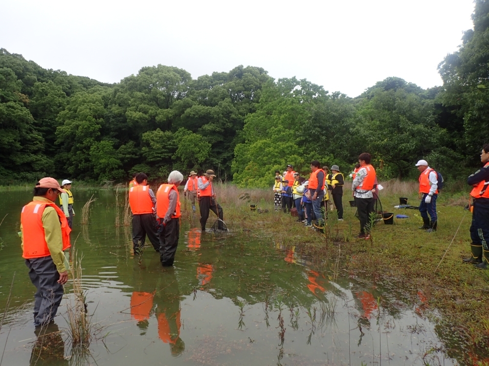 画像のタイトル