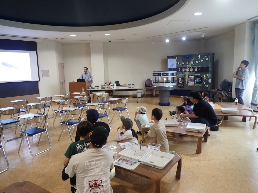 画像のタイトル