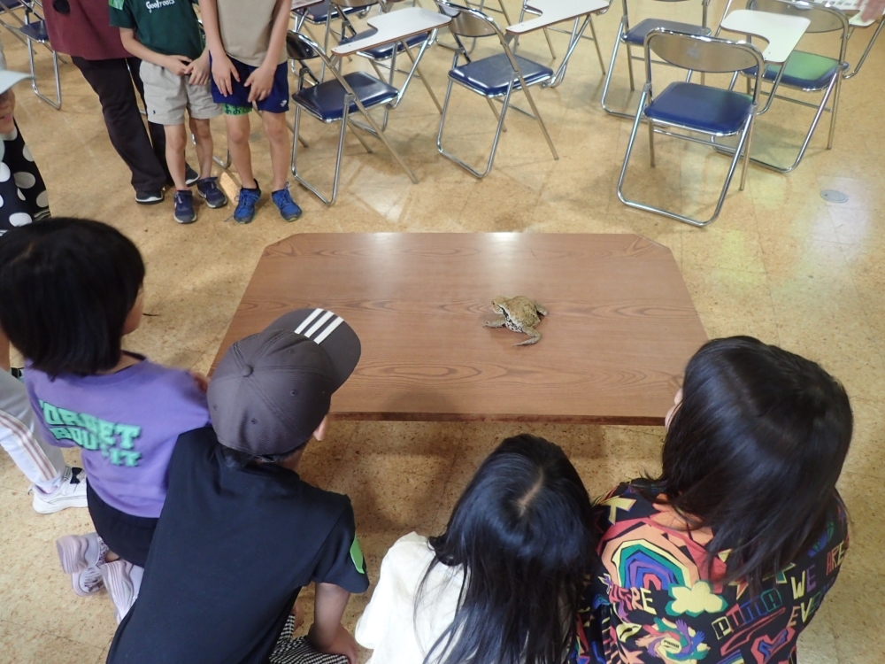 画像のタイトル