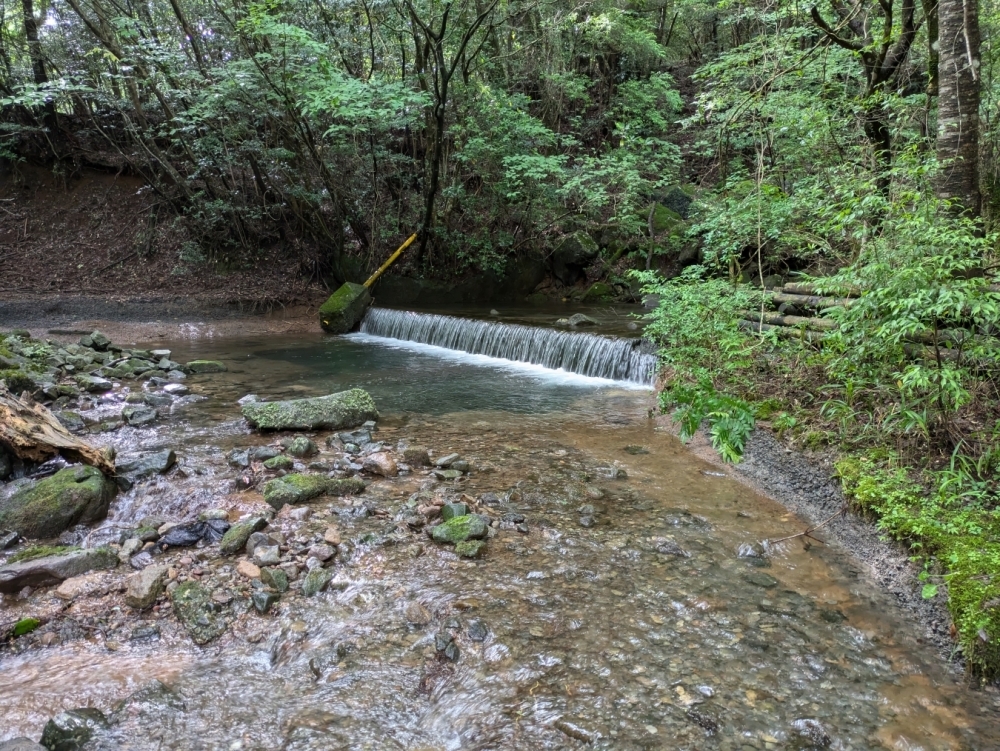 なんだか、キレイですね♪