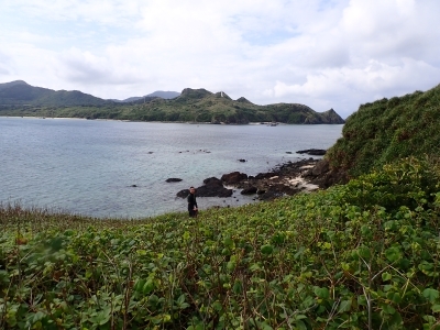 大地離（だいちばなり）