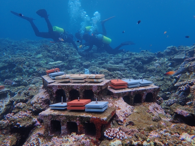 定着版設置作業