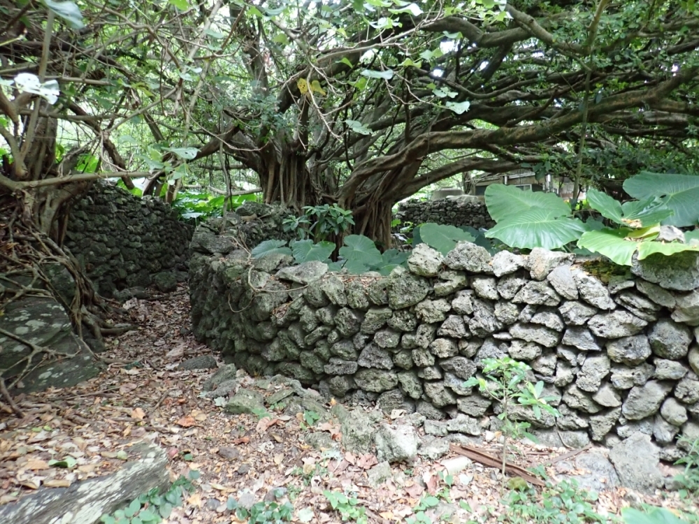 集落の石積みの写真