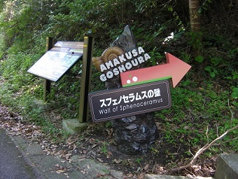 御所浦地区牧島にあるスフェノセラムスの壁と呼ばれる化石群への入口が右側にあることを示すアンモナイトの化石をかたどった標識を撮影した写真