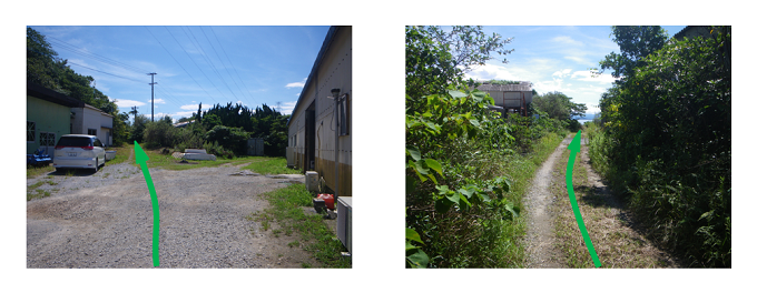 人面岩のある海岸に至る経路の道路に近い側の写真に進行方向が緑色の矢印で図示されている２枚の並列画像