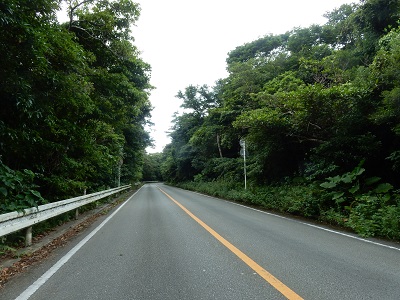 ▶事故現場。向かって右手側からヤンバルクイナが飛び出してきたとのこと(2017年7月8日撮影)