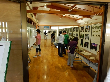 ▲やんばる野生生物保護センターのブース。左側がパネル展示コーナー、右側がフォトコンテストコーナー（2017年9月23日撮影）