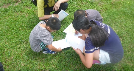学校にいる生き物を探してみようという課題に取り組む児童たち