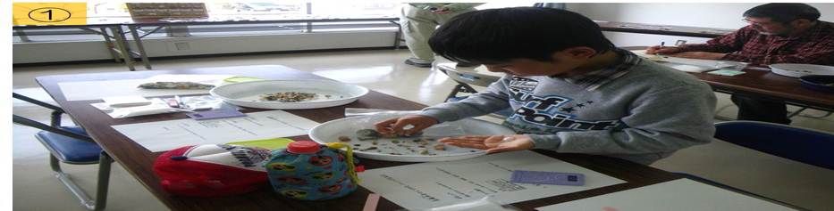 採集した貝をバットに移して標本にしたい貝を選ぶ参加者