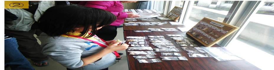 名和さんの貝の標本（ほんもの図鑑）から貝の名前を調べる参加者