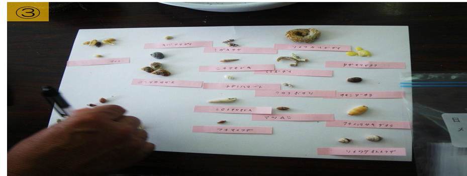 貝の名前をふせんに書く