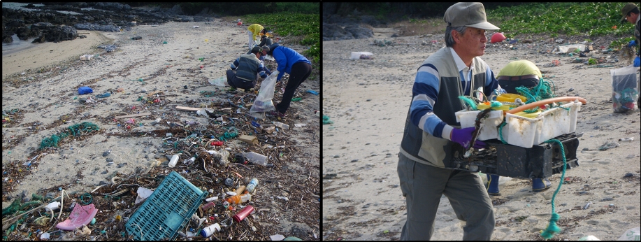 塚崎海岸で清掃するパークボランティアのみなさん