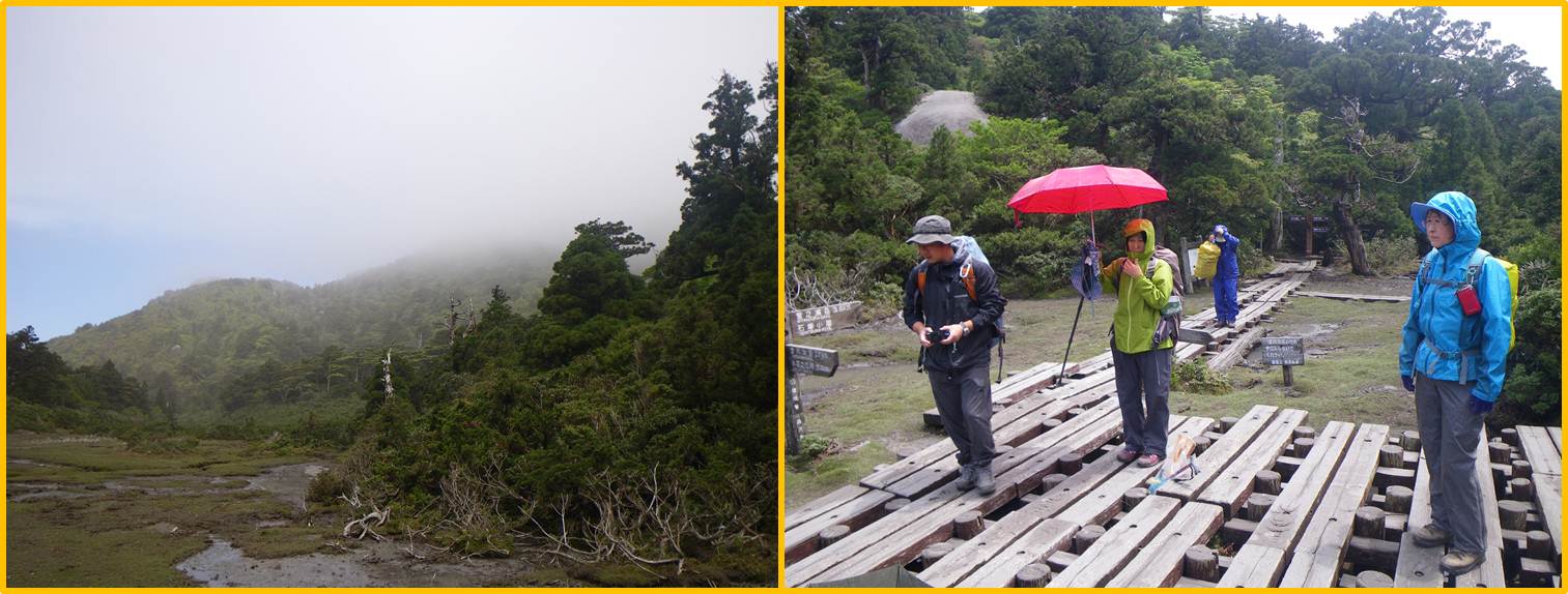 花之江河に降る火山灰と、雨具を着たパークボランティアのみなさん