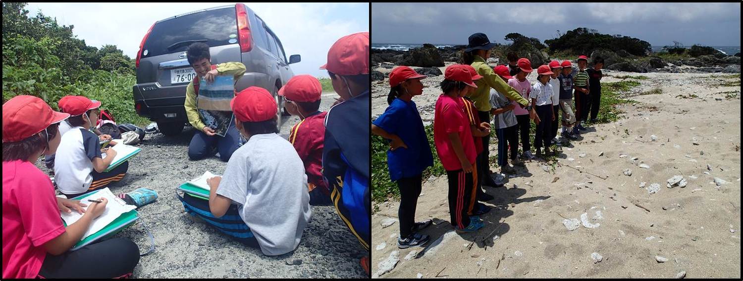 海の説明を聞く様子とウミガメ上陸跡を観察する様子