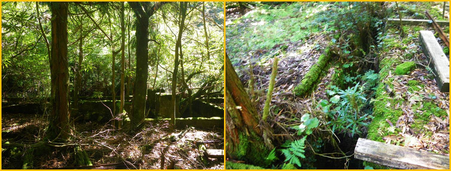 製材所跡とトロッコ修理場跡の写真