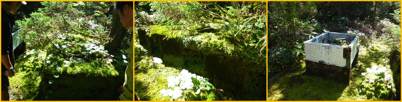 かまどと流し台の写真