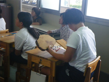 ヤクスギと普通のスギを見比べる児童の様子