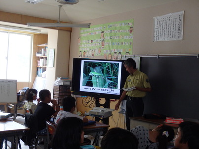 画面に映し出されたグリーンアノールを見ながら子供達に説明をする岸保護官