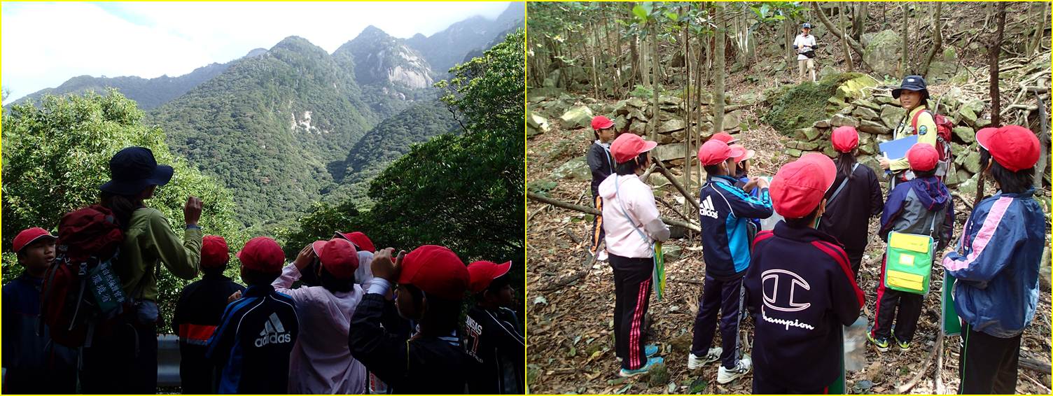 植生の垂直分布と炭焼き窯跡を観察する様子