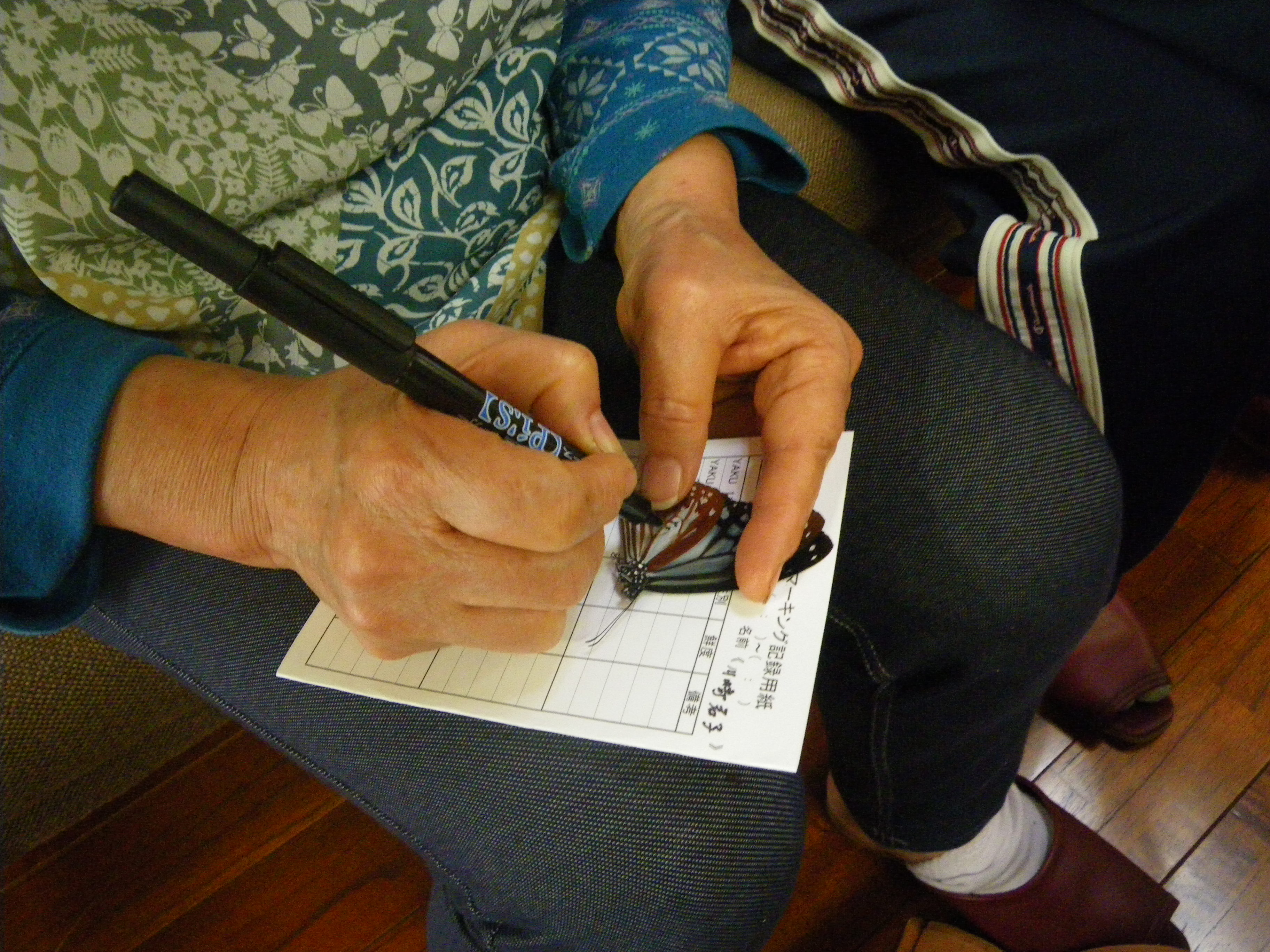 アサギマダラにマーキングする様子