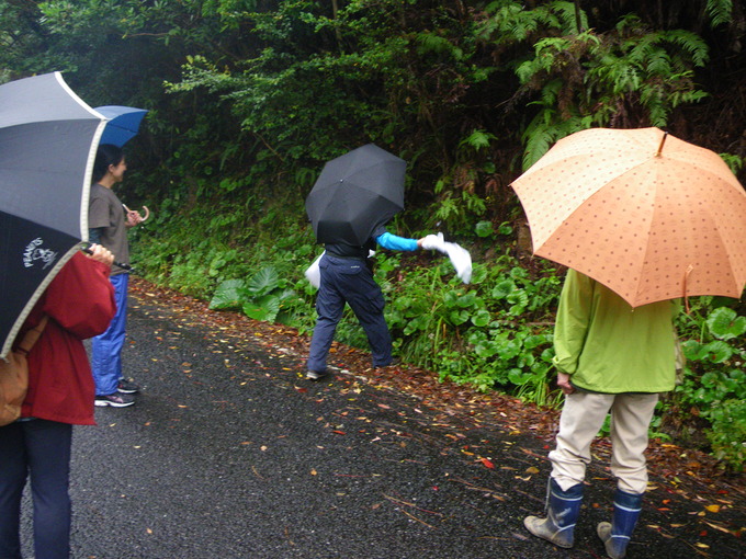 タオルを回してアサギマダラを捕獲する様子