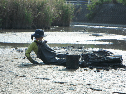 泥干潟の深みに脚を取られ、抜け出すため泥と戦っている様子（2015年10月撮影）