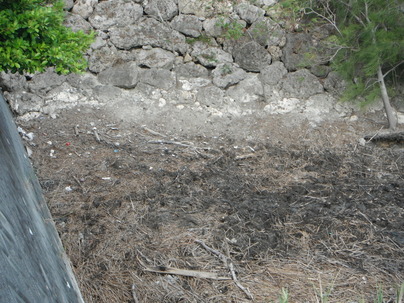 作業後のきれいになった様子()