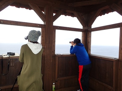 展望所からザトウクジラを探す