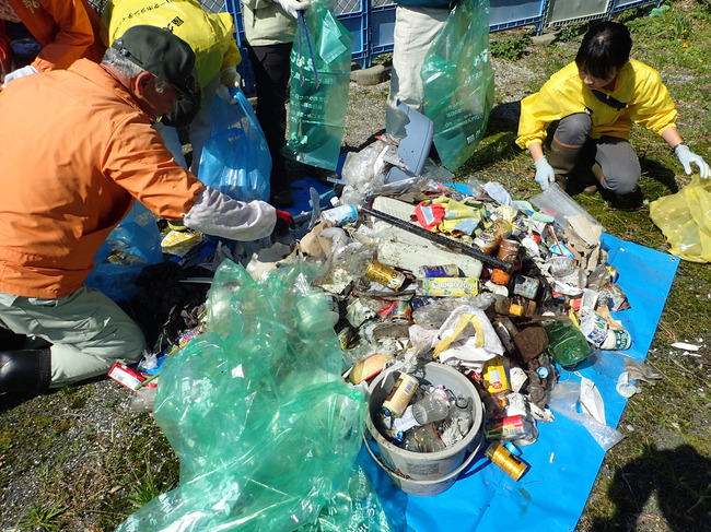 分別作業の様子