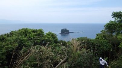 整理後（晴れの日は桜島も見えます）