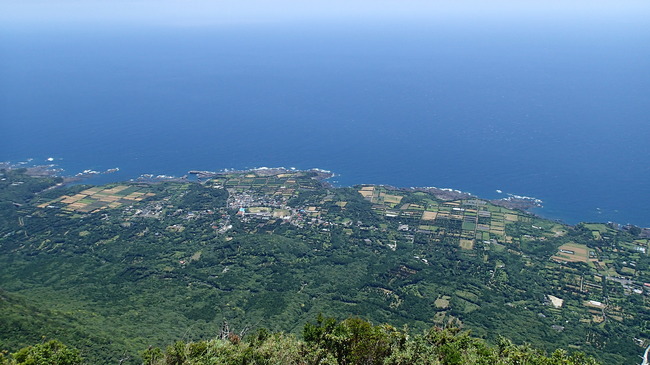 山頂から見た麓の集落や太平洋